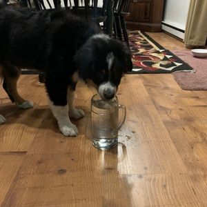 Meet your Posher, Katherine